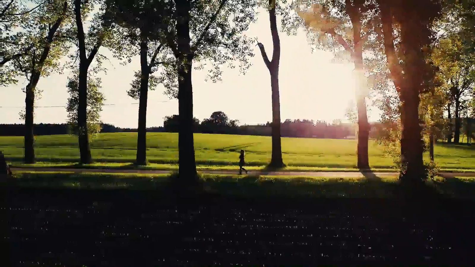Sunlit park path with a person in the distance